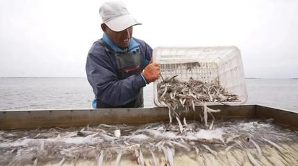 金秋龍江慶豐收，魚米滿倉振三農——寫在中國農民豐收節