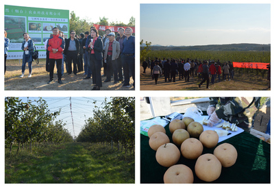 強(qiáng)化技術(shù)引領(lǐng)，加快推進(jìn)水產(chǎn)養(yǎng)殖現(xiàn)代化