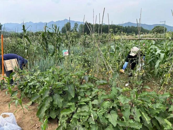 夜半驚雷，密云農(nóng)場在洪水中失守